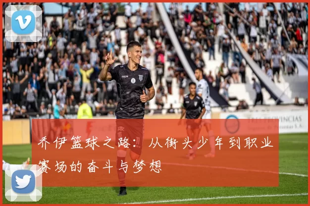 乔伊篮球之路：从街头少年到职业赛场的奋斗与梦想