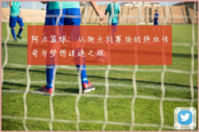 阿力篮球：从街头到赛场的热血传奇与梦想追逐之旅