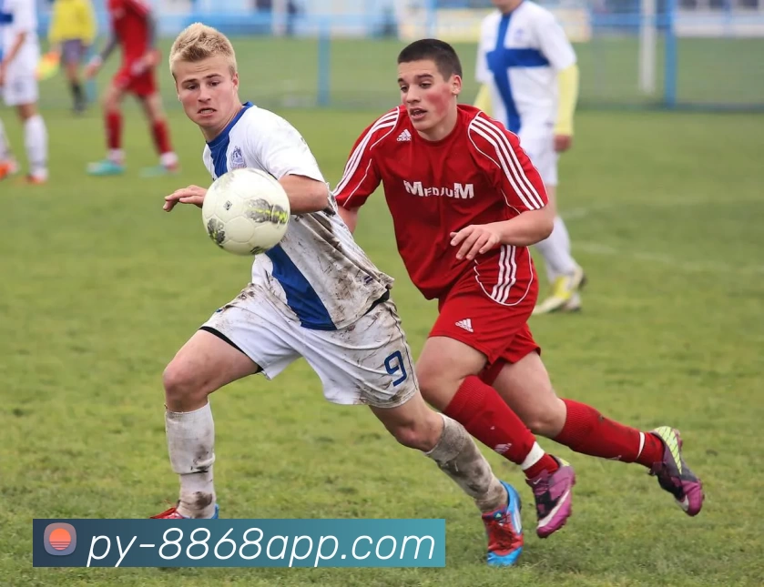 8868体育服务体系